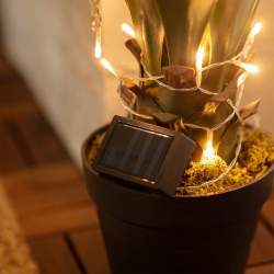 Guirnalda de luces LED solar para exterior de 2m - 3