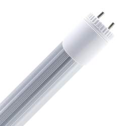 TUBO LED PEIXE