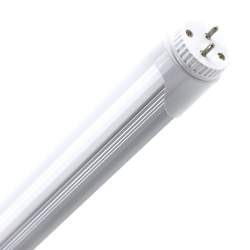 TUBO LED PEIXE