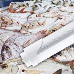 TUBO LED PEIXE