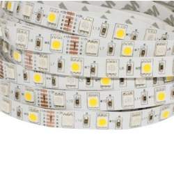 Fita LED 5m 12V DC 60LED/m IP65 RGBW
