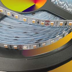 TIRA LED 10m 24V DC 120LED/m SMD2835 IP20 8W/m