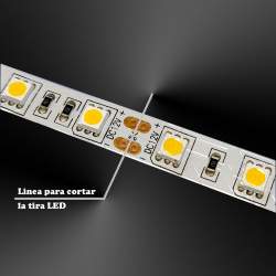 FITA LED 5m 12V DC 60LED/m SMD5050 IP20