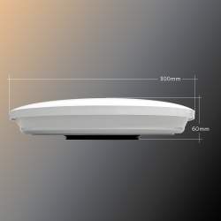 Candeeiro de tecto LED Tri-Proof 24W IP54 superfície redonda