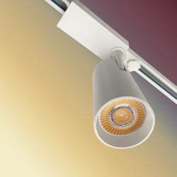LUZ DA TRILHA LED TRIFÁSICO COB ESPECIAL CARNE 30W