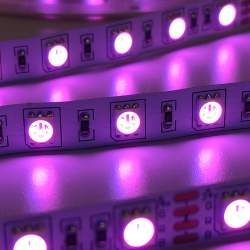 Fita LED 5m 24V DC 60LED / m IP20 RGB