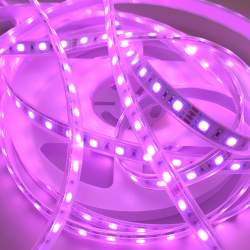 Fita LED 5m 24V DC 60LED/m IP65 RGB