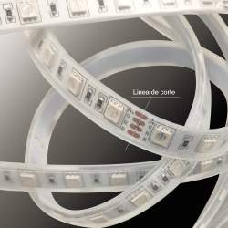 Fita LED 5m 24V DC 60LED/m IP65 RGB