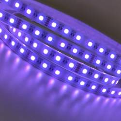 Fita LED 5m 24V DC 60LED / m IP65 RGBWW 12MM
