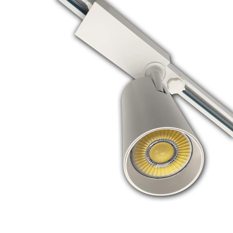LUZ DA TRILHA LED TRIFÁSICO COB ESPECIAL PEIXE 30W