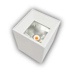 APLIQUE TECHO RUBI BLANCO 10W