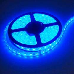 Fita LED 5m 12V DC 60 LED/m SMD5050 IP20 AZUL - 1