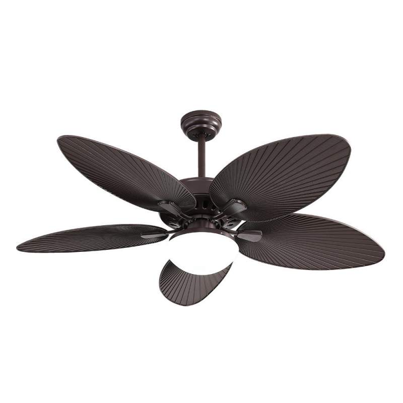 Ventilador de techo led Dc Borasco 24w Marron con 5 Aspas - 2