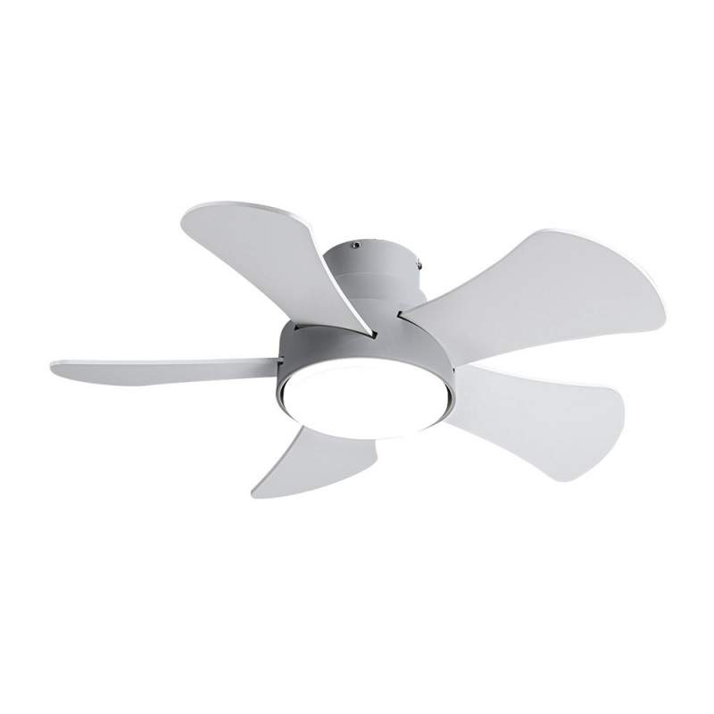 Ventilador de techo led 25w Dc Gris Gregario con 5 Aspas Reversibles Blanca/haya - 2