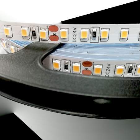Tiras Led 24v monocromo